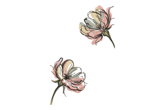 Vintage Sketch Flowers